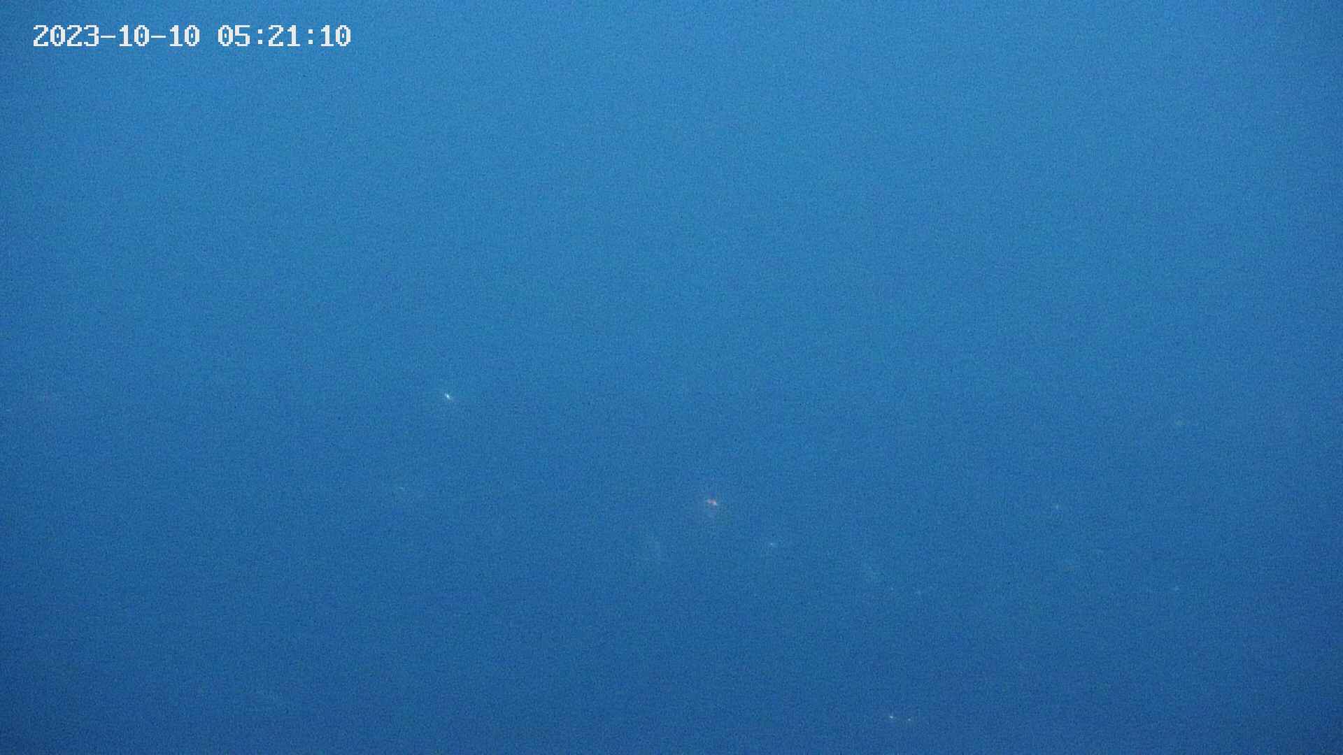 umi20231010052112.jpg