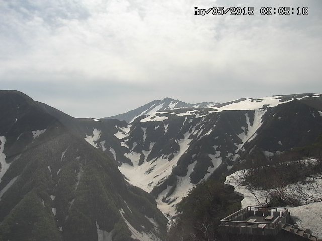 zenkei20150505090519.jpg