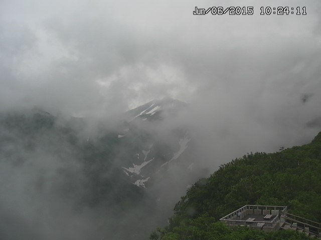 zenkei20150606102435.jpg