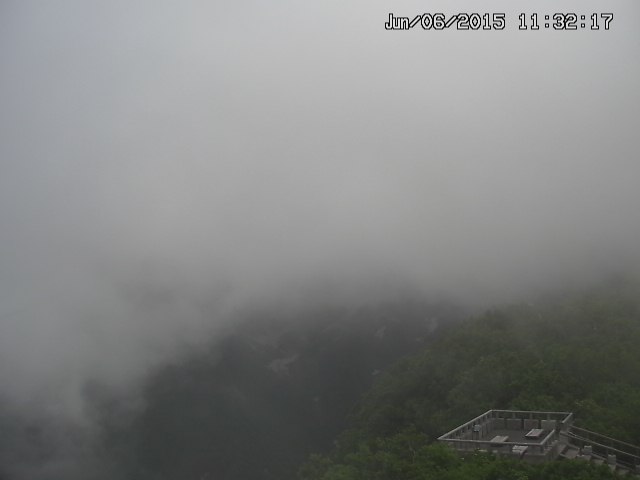 zenkei20150606113218.jpg