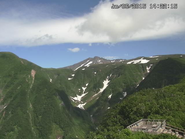 zenkei20150606142216.jpg