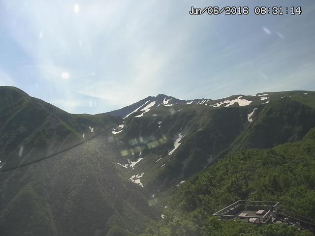 zenkei20160606083123.jpg