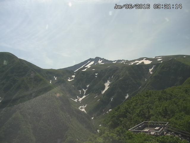 zenkei20160606092125.jpg