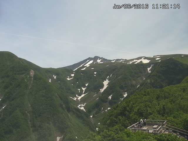 zenkei20160606112124.jpg