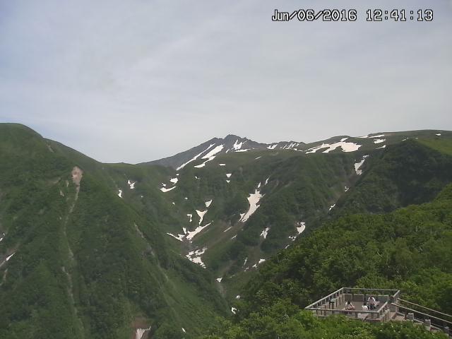 zenkei20160606124123.jpg