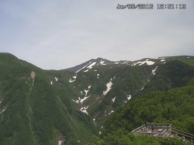zenkei20160606125122.jpg