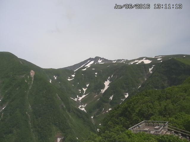 zenkei20160606131123.jpg