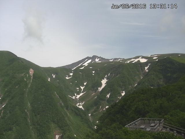 zenkei20160606133124.jpg