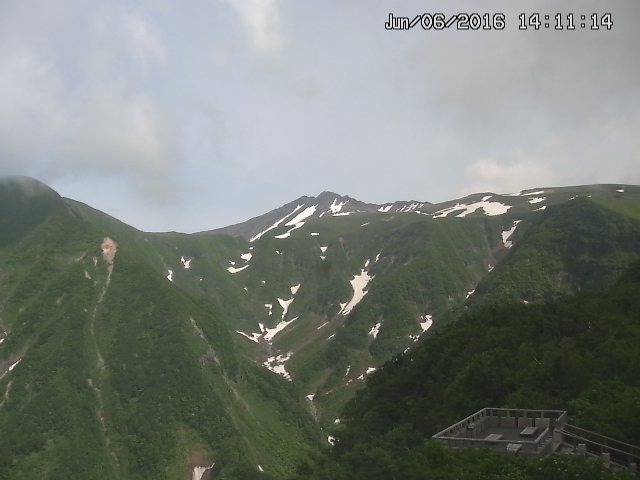 zenkei20160606141131.jpg