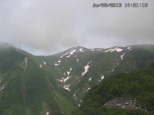 zenkei20160606142128.jpg