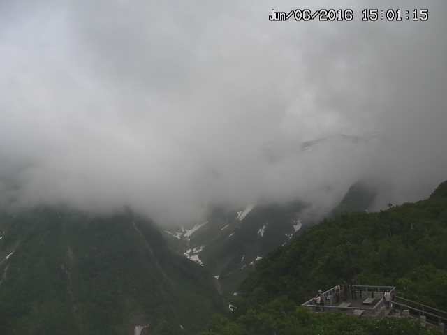 zenkei20160606150120.jpg