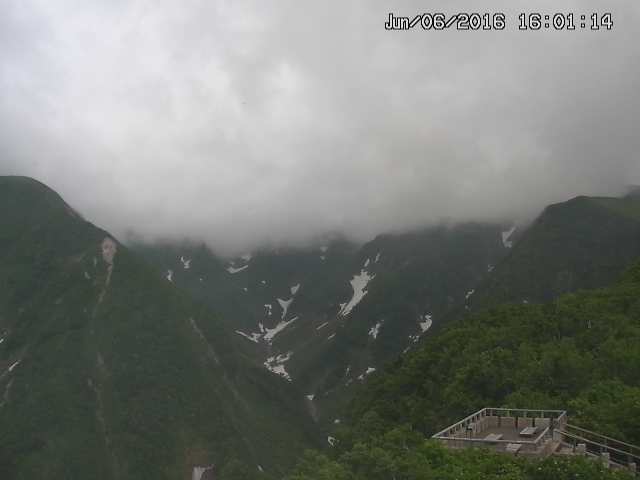zenkei20160606160125.jpg