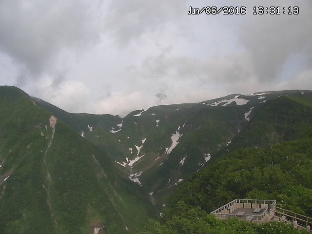 zenkei20160606163125.jpg