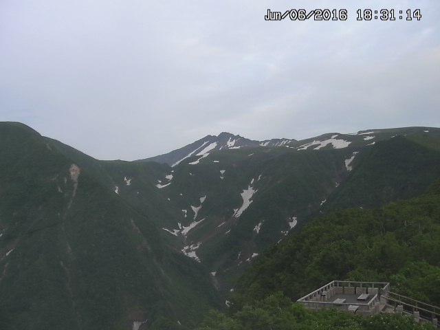 zenkei20160606183124.jpg
