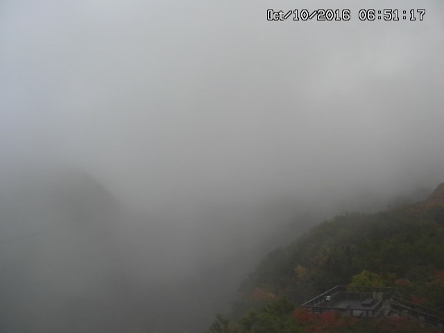 zenkei20161010065124.jpg