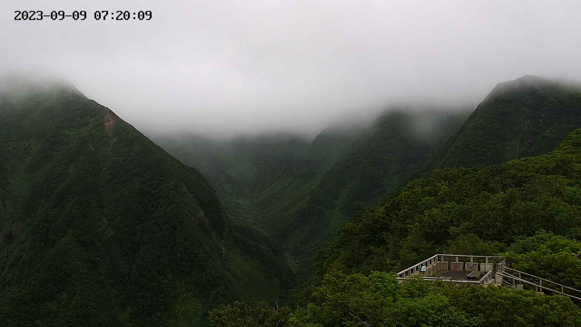 zenkei20230909072012.jpg