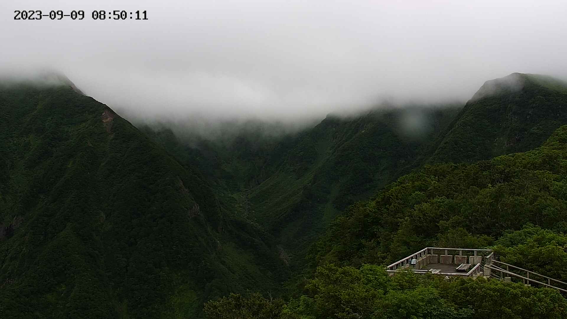 zenkei20230909085012.jpg