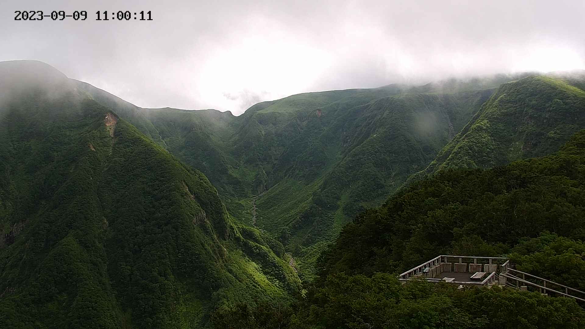 zenkei20230909110012.jpg