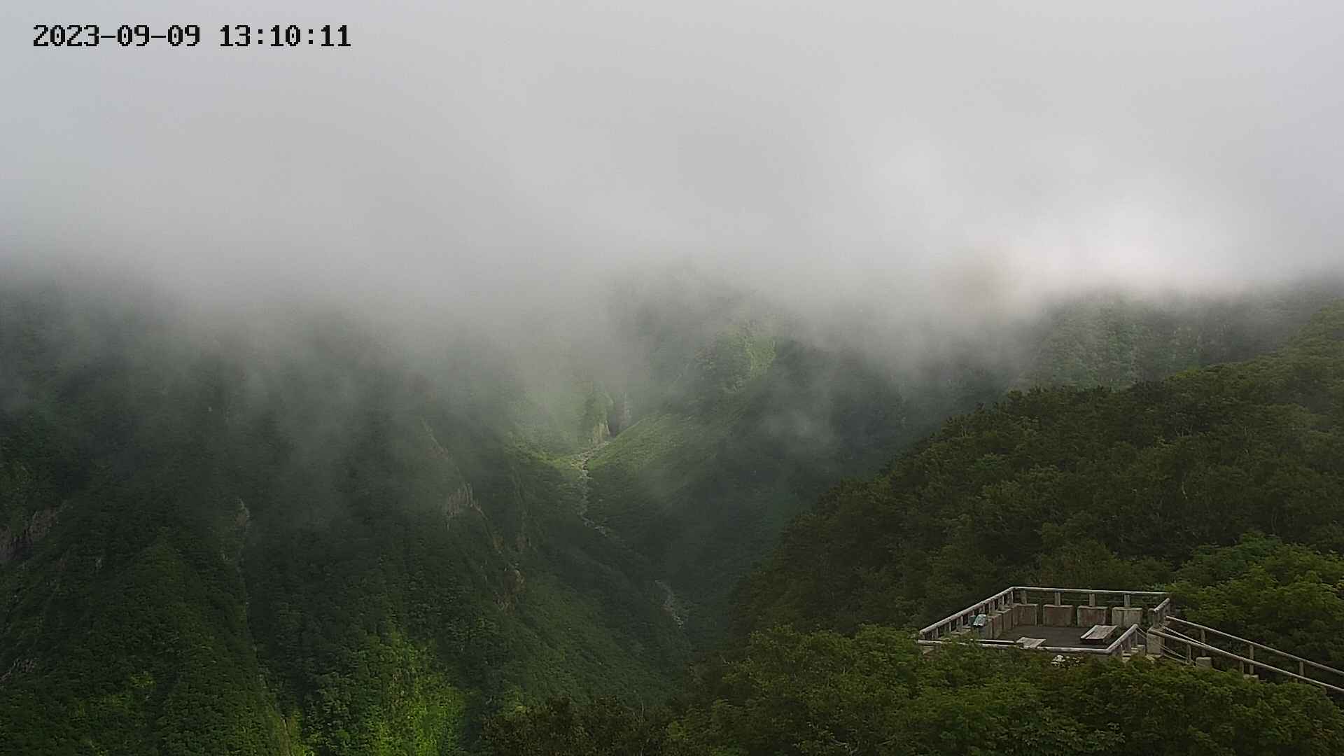 zenkei20230909131012.jpg