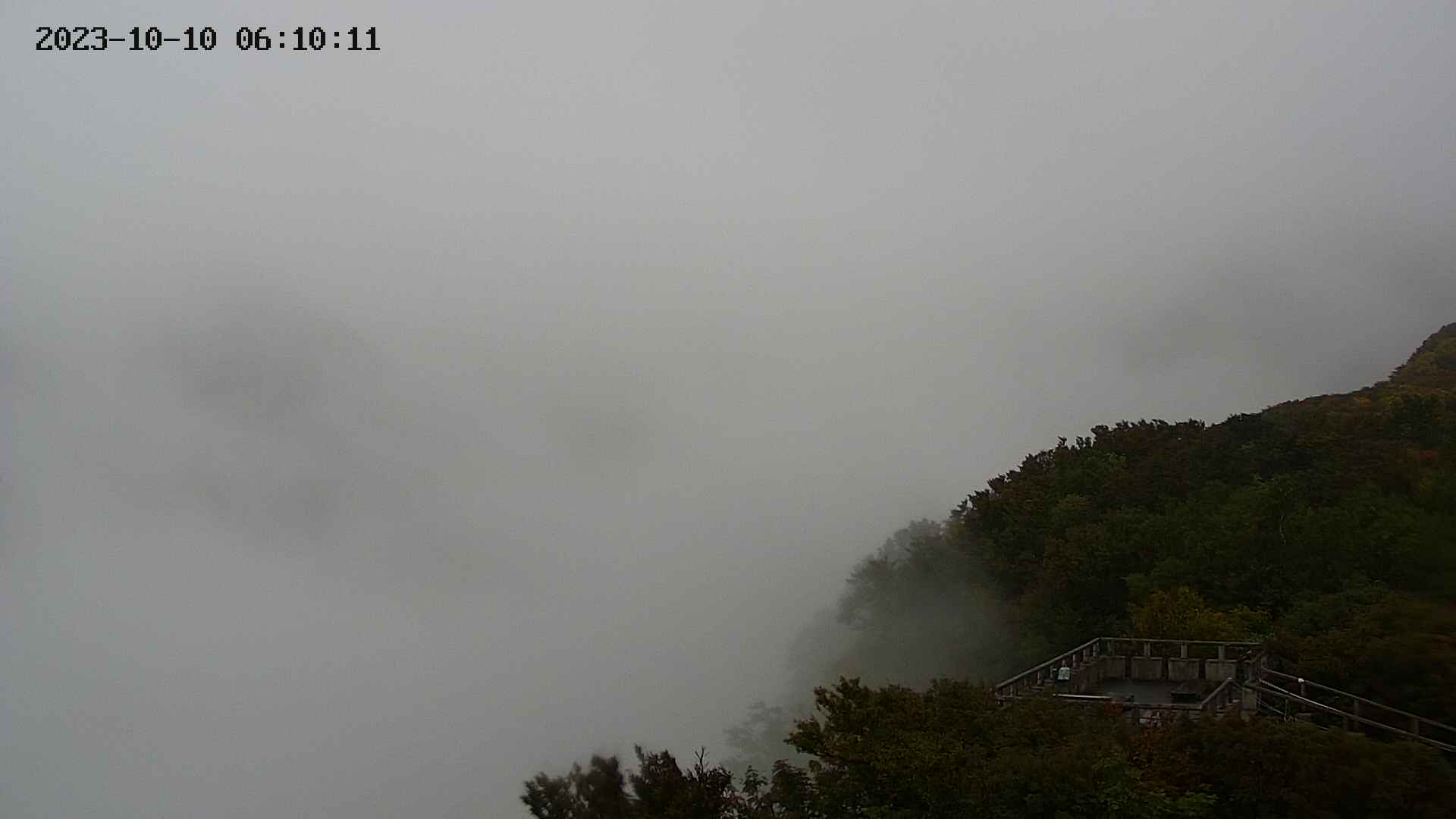 zenkei20231010061012.jpg