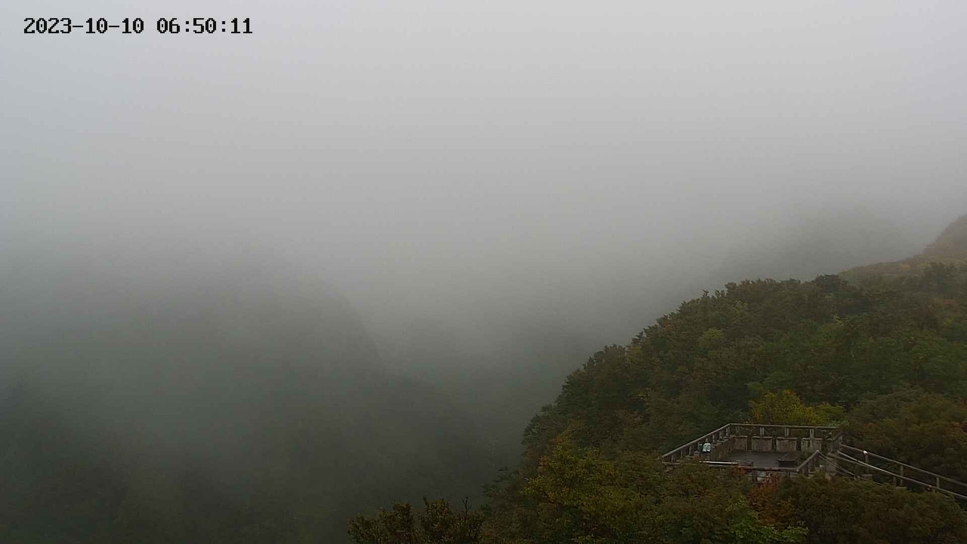 zenkei20231010065012.jpg