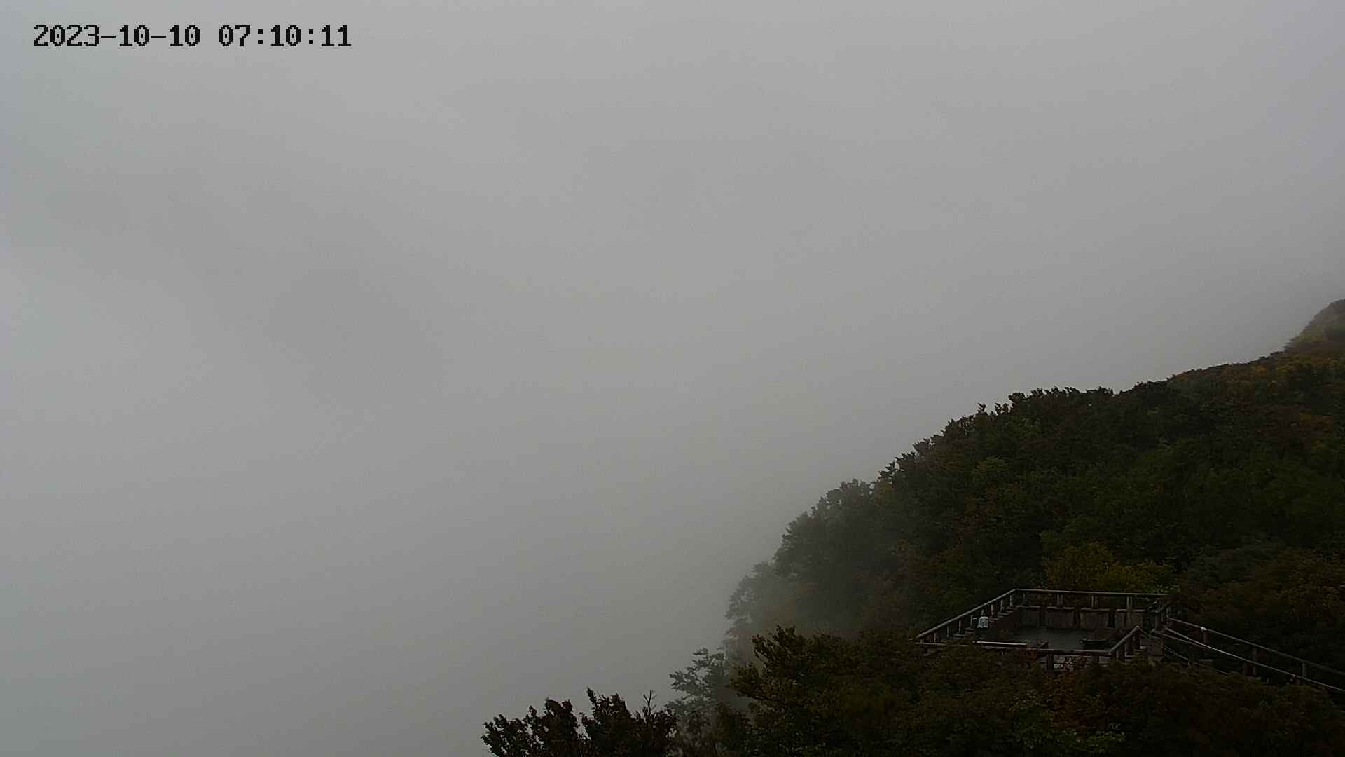 zenkei20231010071013.jpg