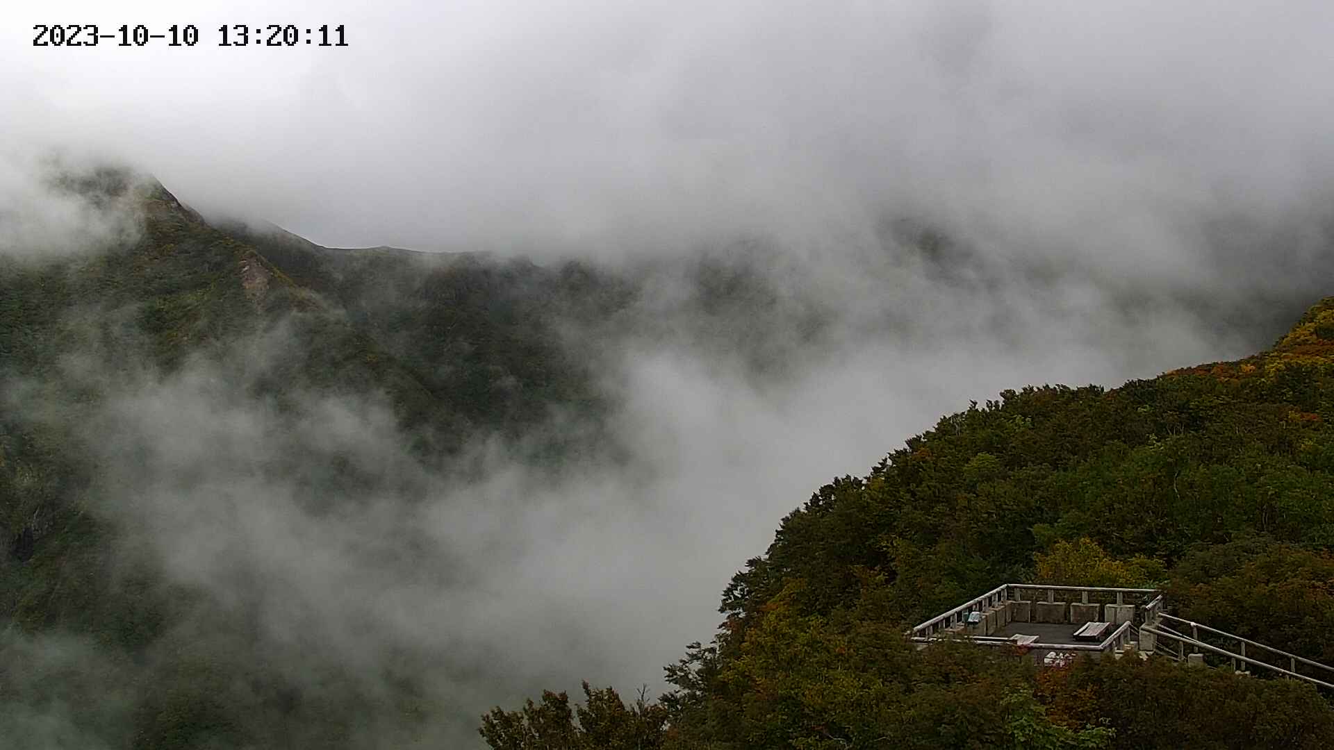 zenkei20231010132012.jpg