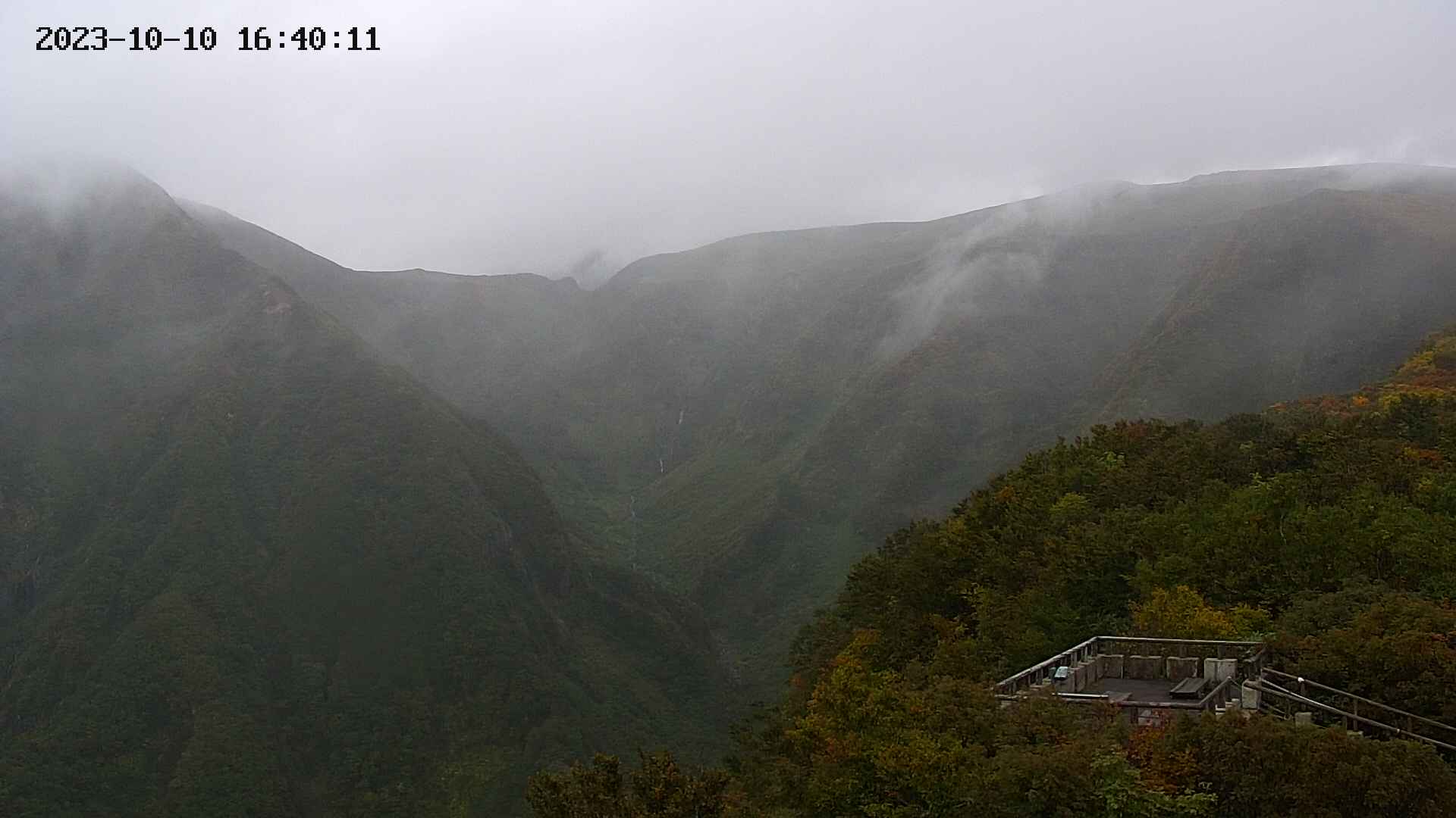 zenkei20231010164013.jpg