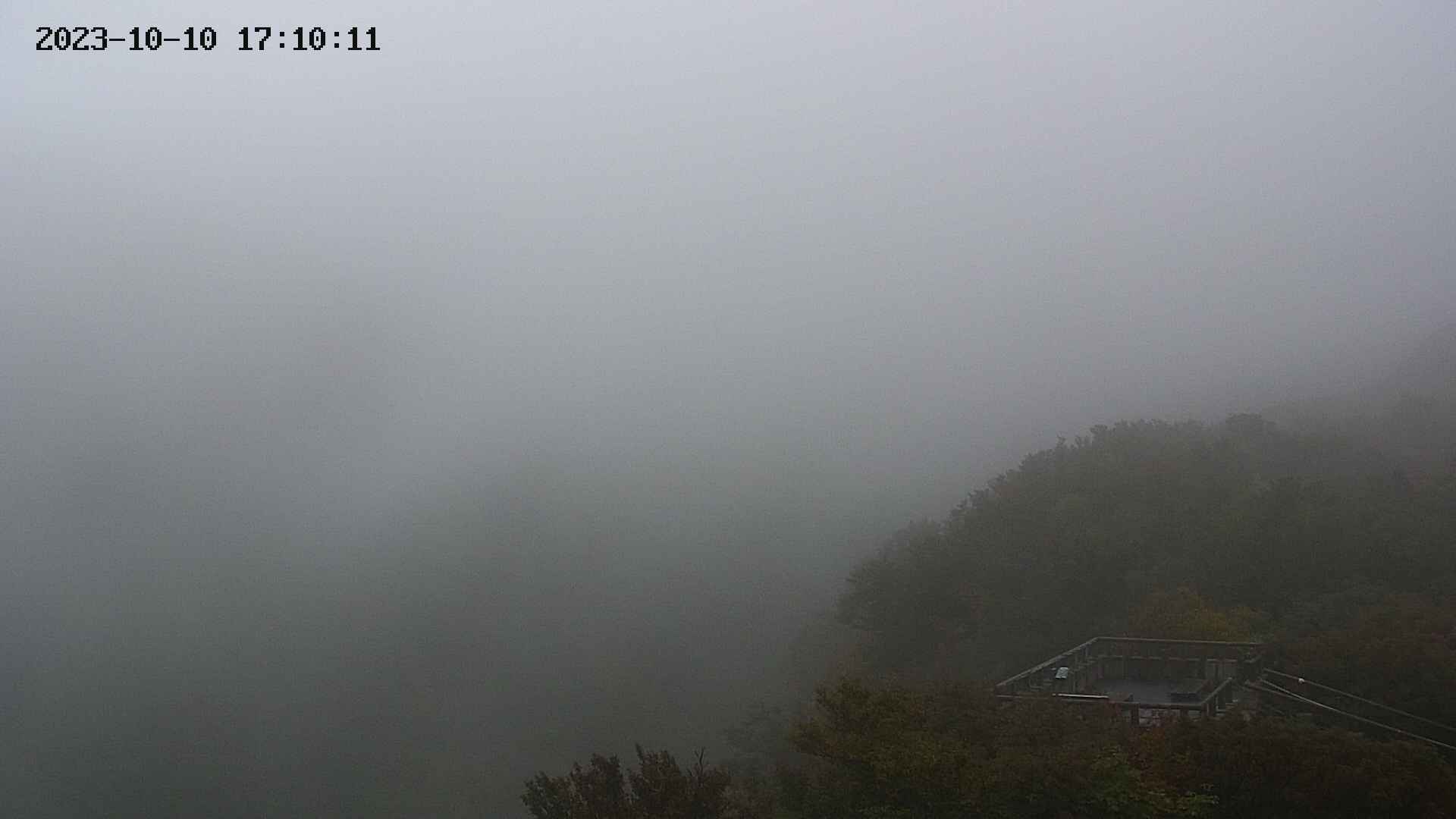 zenkei20231010171012.jpg