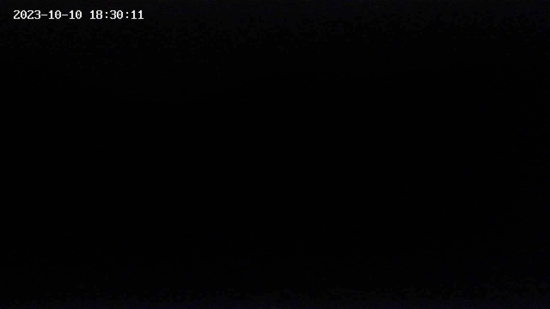 zenkei20231010183012.jpg