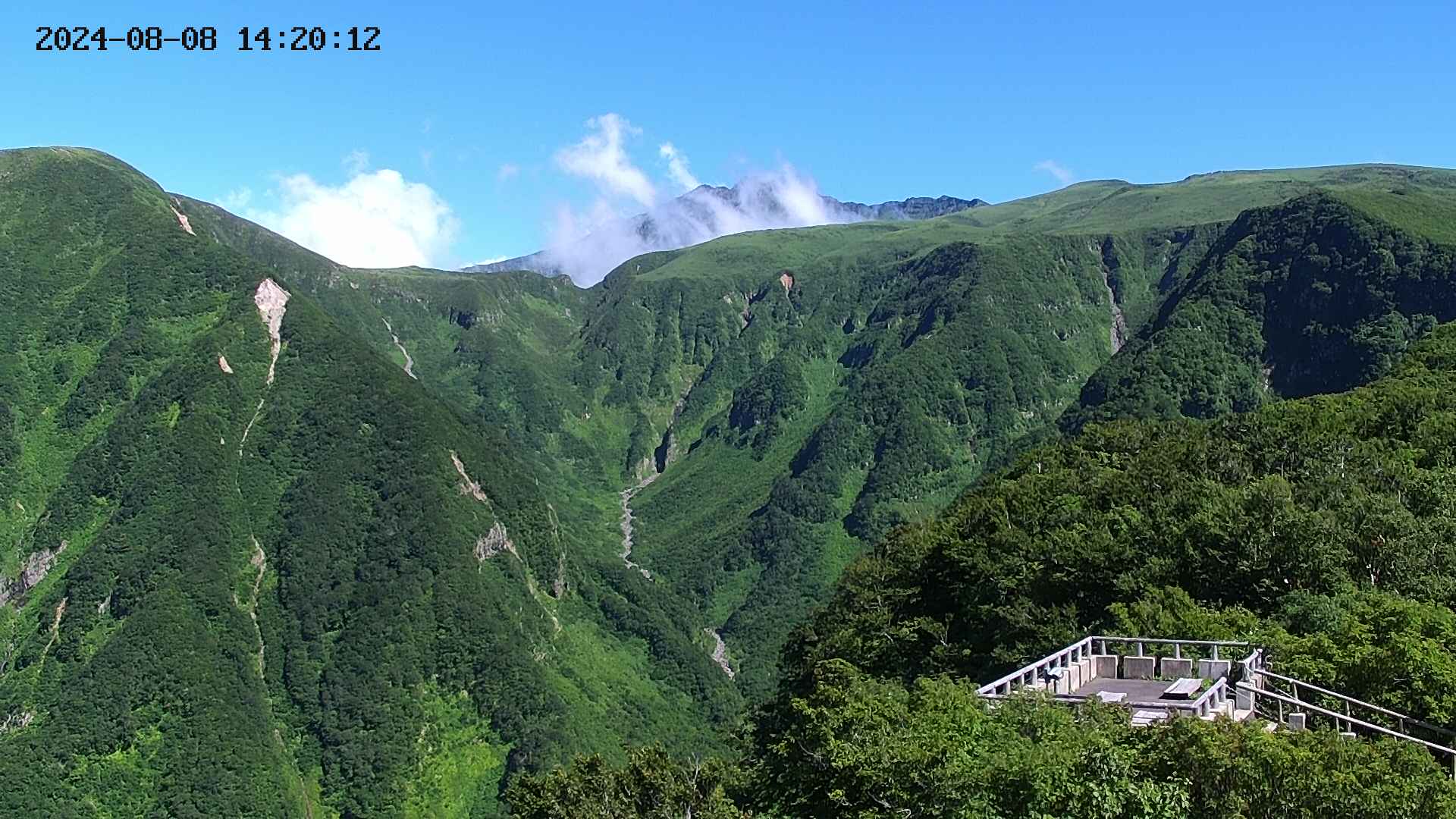 zenkei20240808142014.jpg