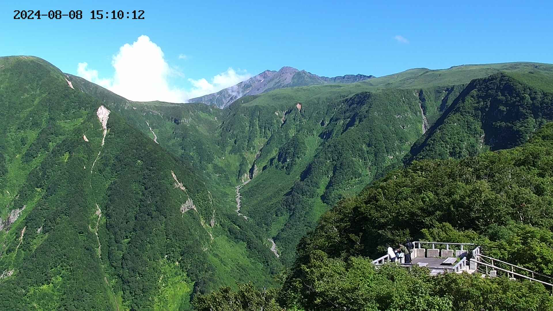 zenkei20240808151014.jpg
