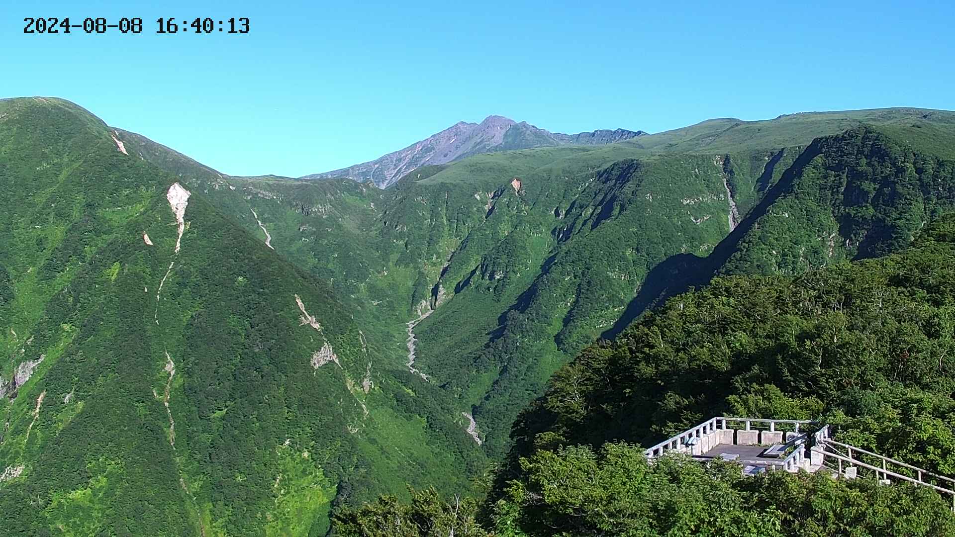 zenkei20240808164015.jpg