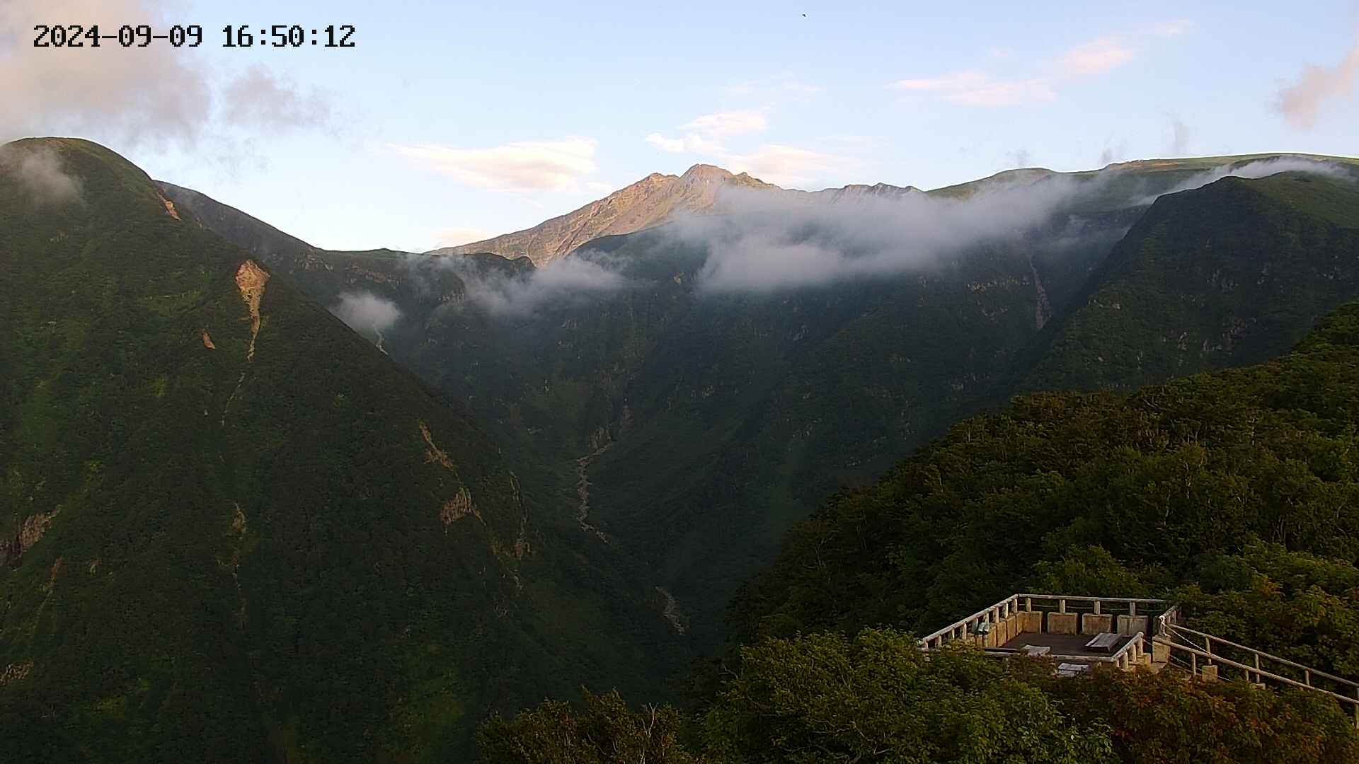 zenkei20240909165013.jpg