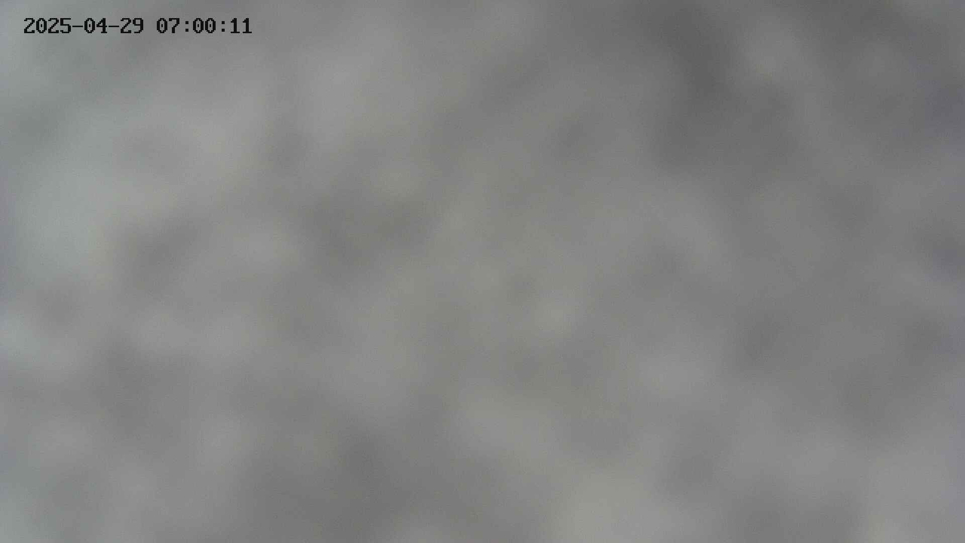 zenkei20250429070012.jpg
