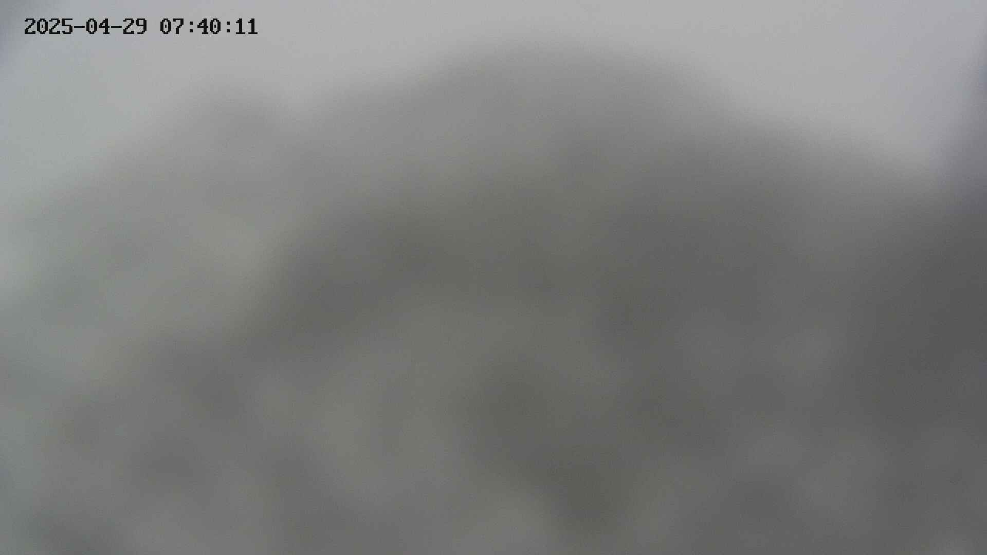 zenkei20250429074013.jpg