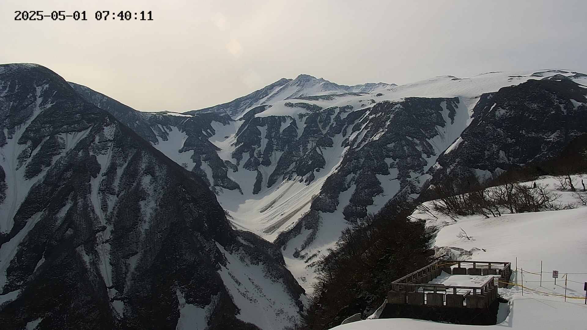 zenkei20250501074014.jpg