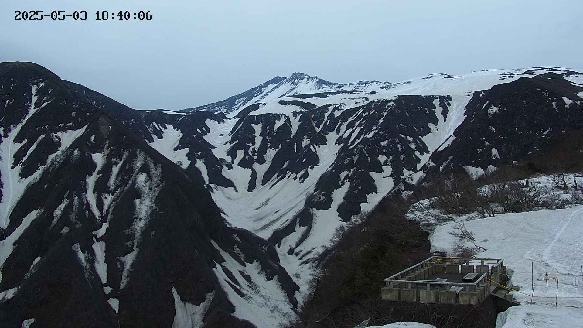 zenkei20250503184013.jpg