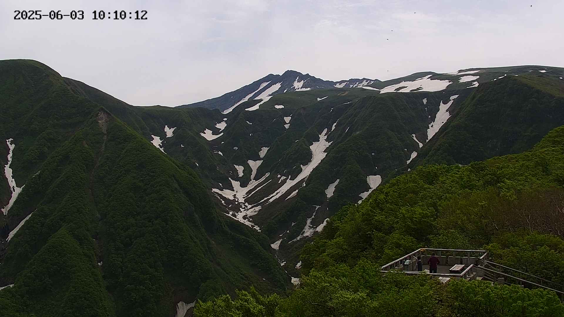 zenkei20250603101013.jpg