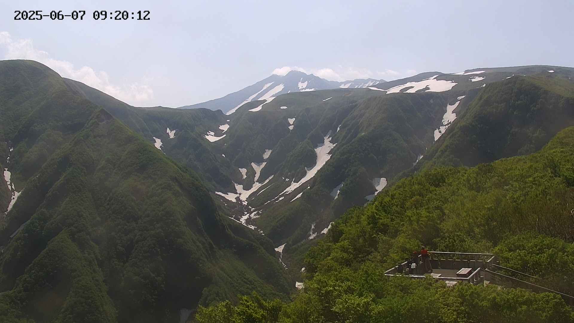 zenkei20250607092013.jpg