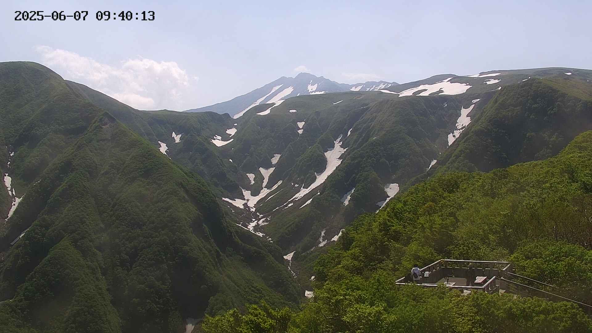 zenkei20250607094014.jpg