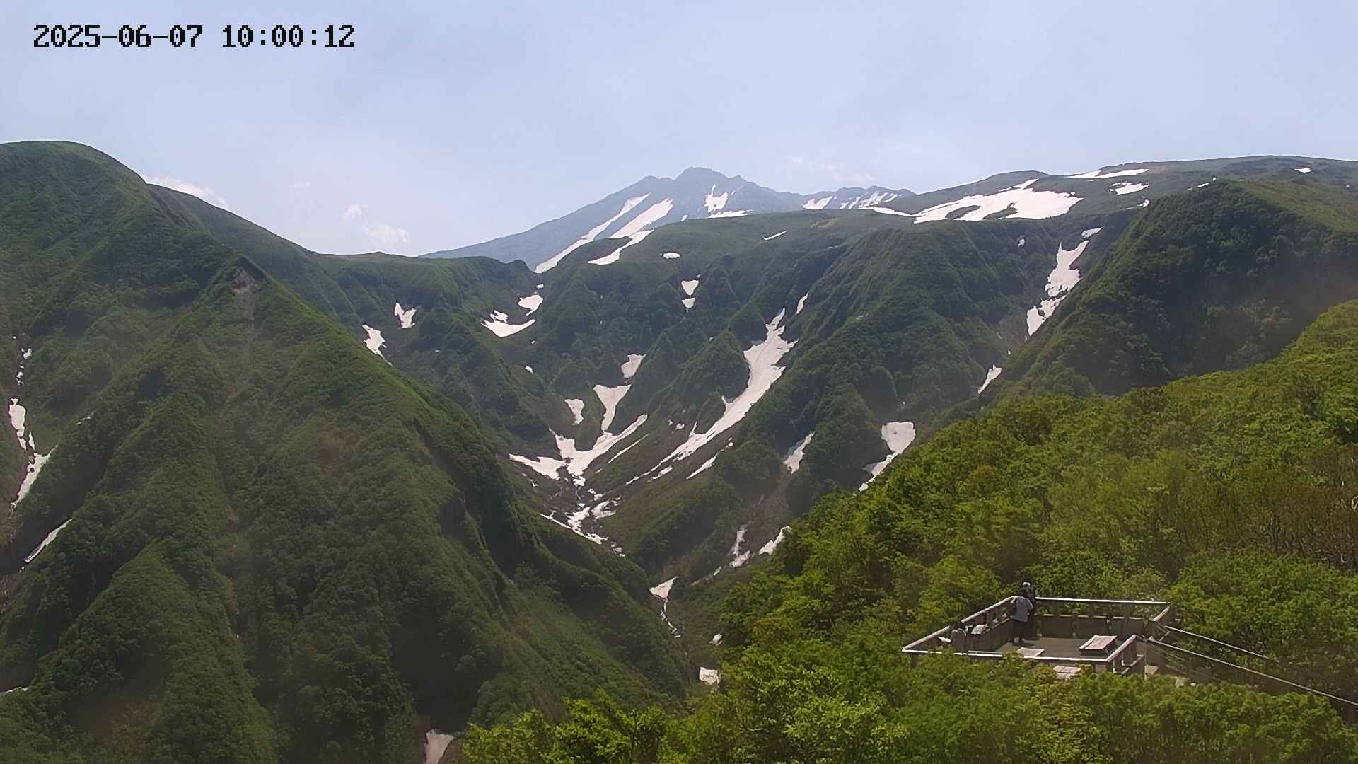 zenkei20250607100013.jpg