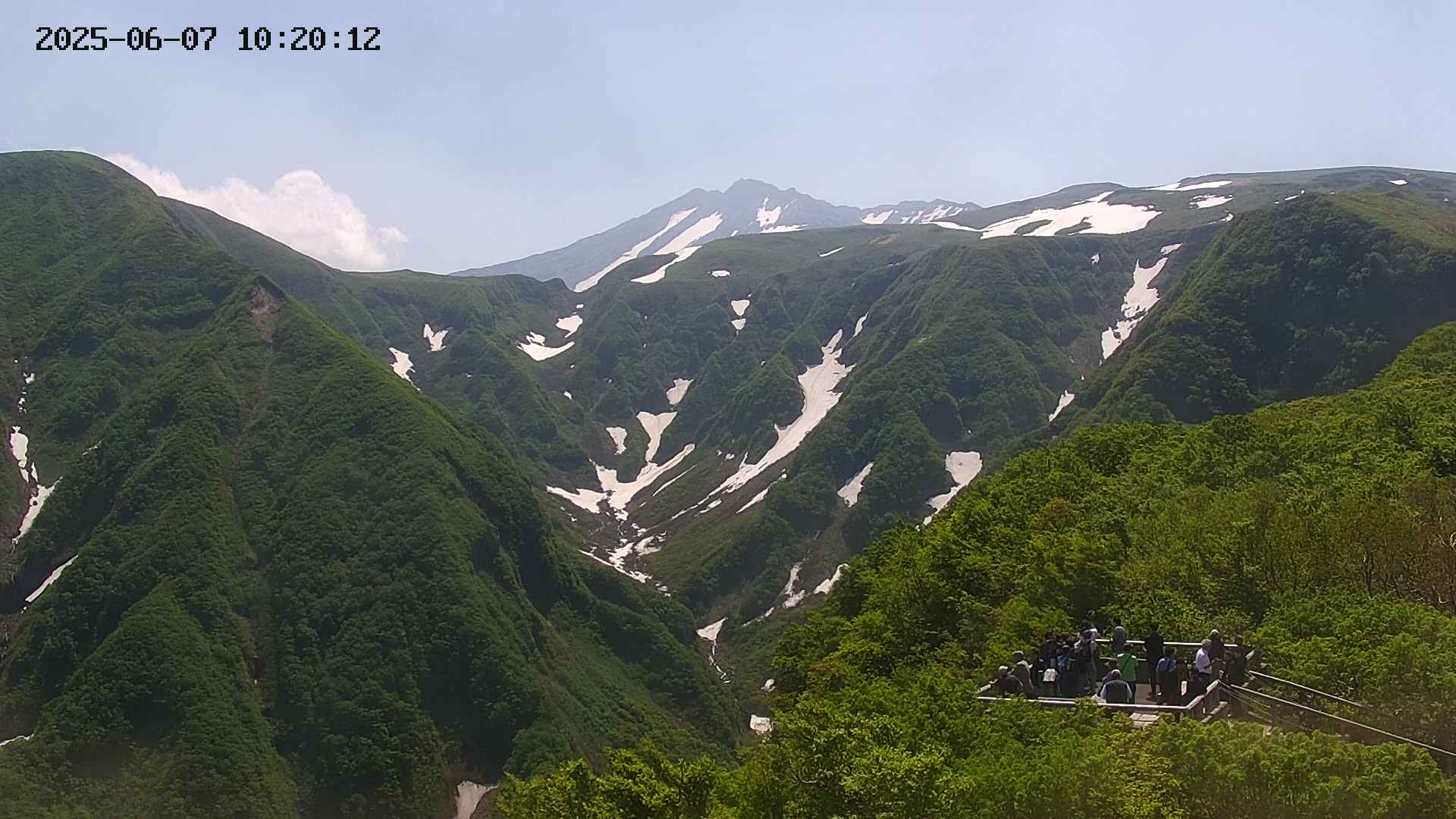 zenkei20250607102013.jpg