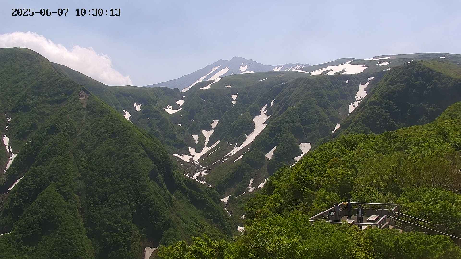 zenkei20250607103014.jpg