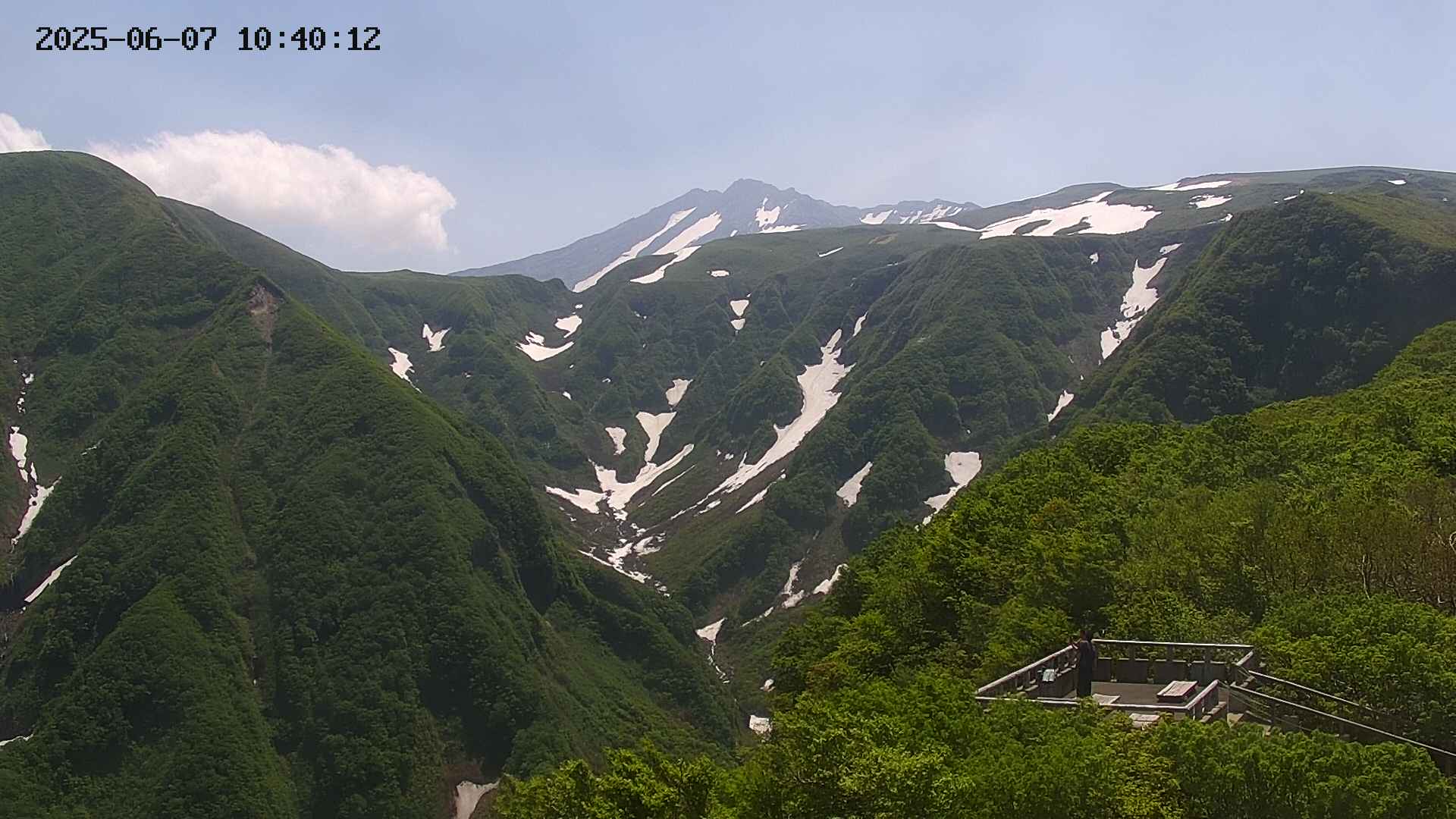 zenkei20250607104013.jpg
