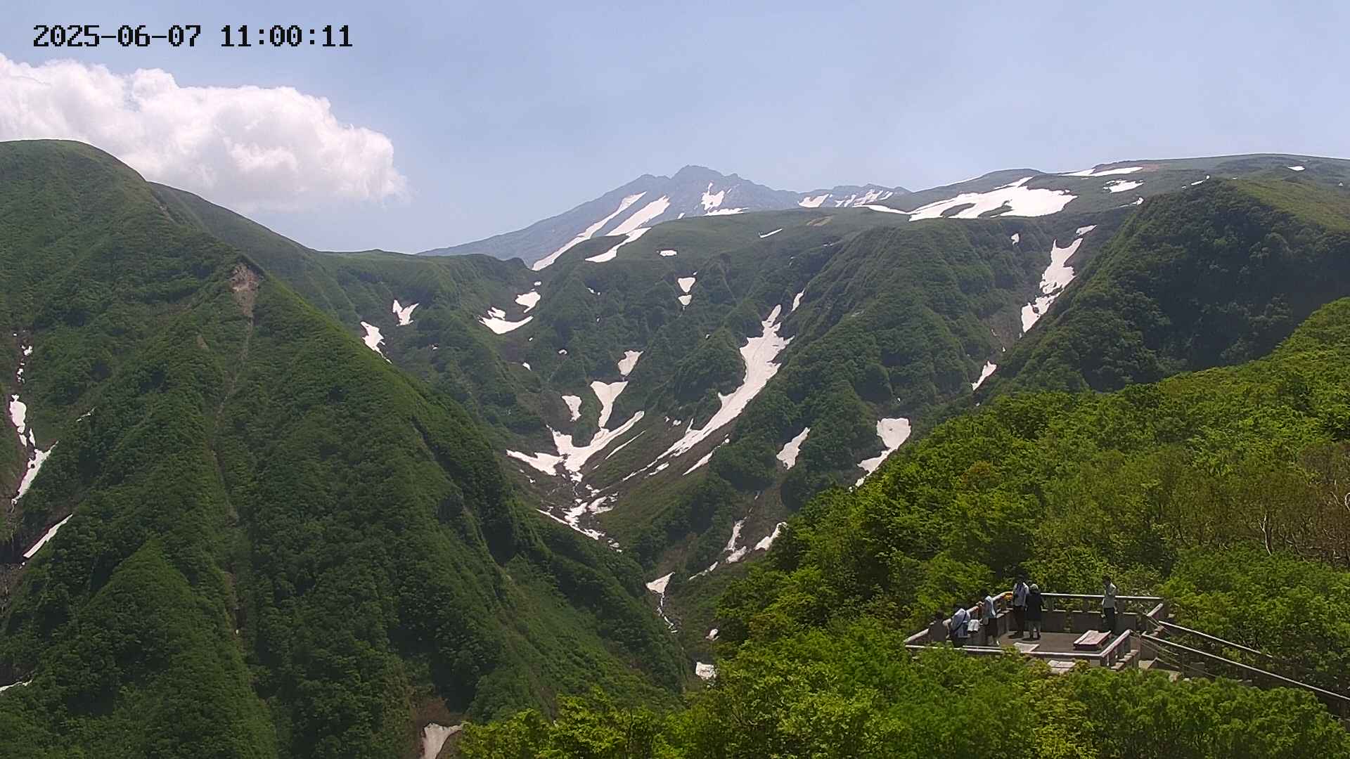 zenkei20250607110013.jpg