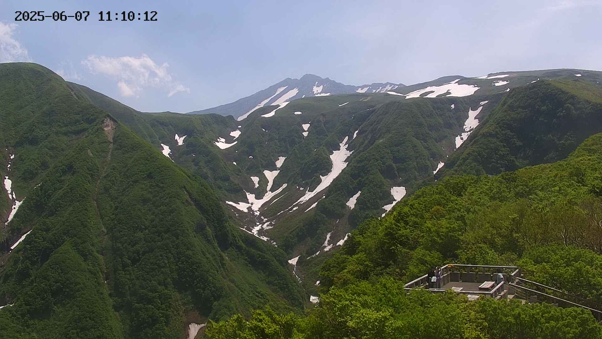 zenkei20250607111013.jpg
