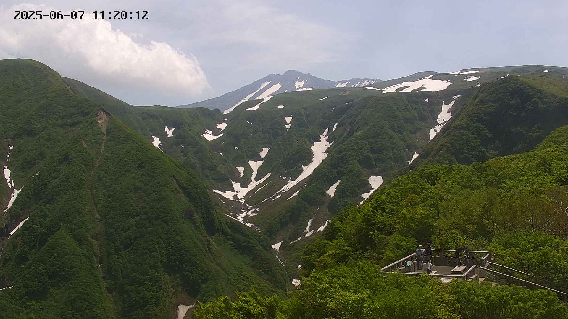 zenkei20250607112014.jpg