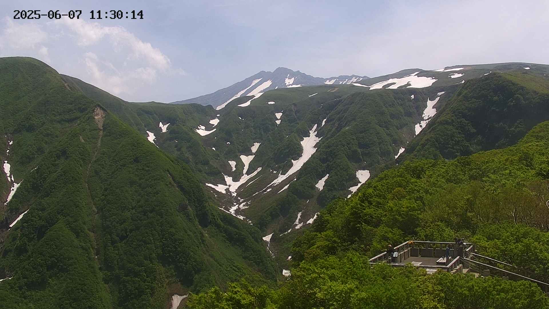 zenkei20250607113015.jpg