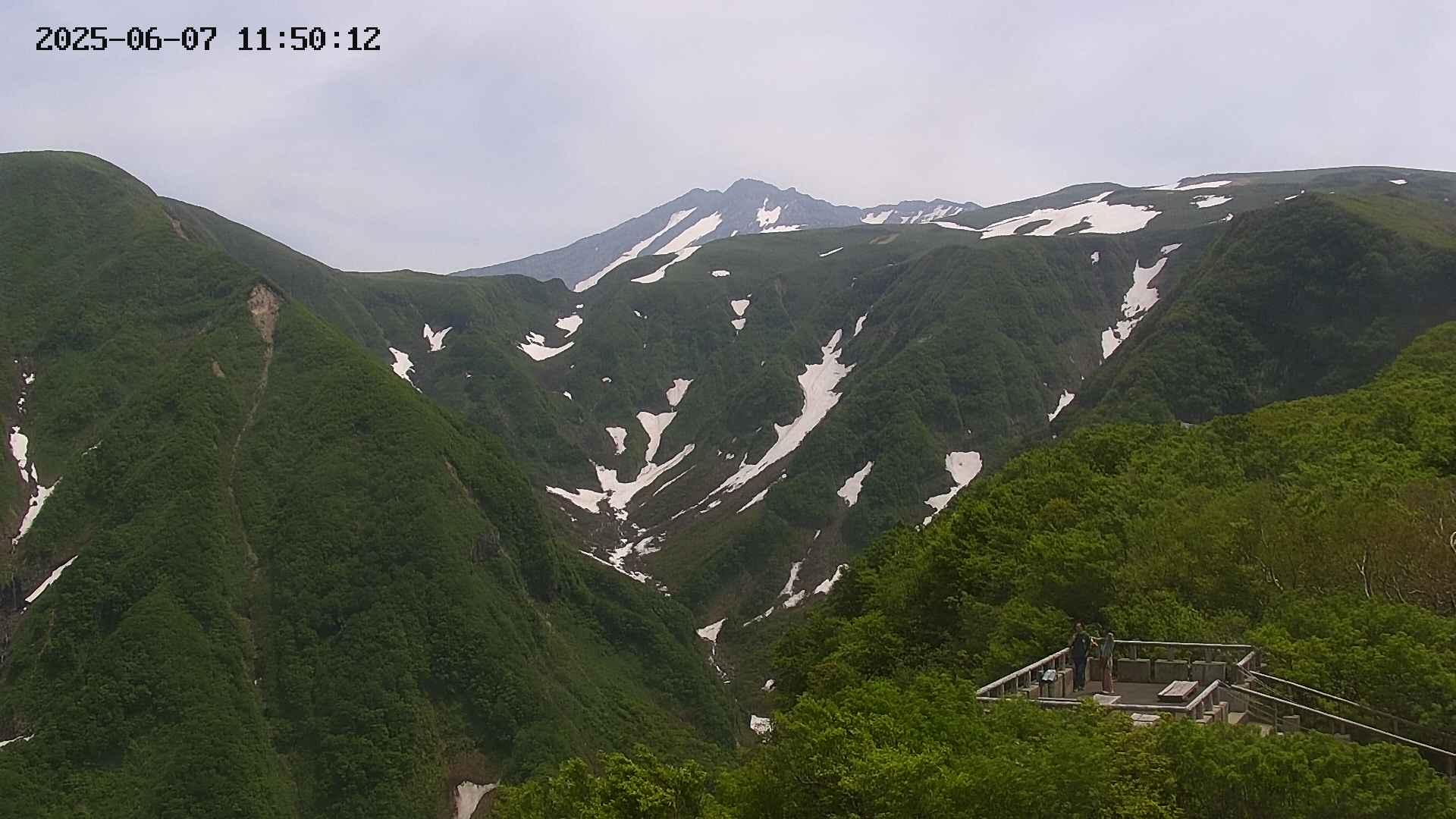 zenkei20250607115013.jpg